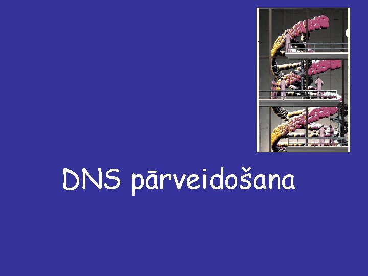 DNS pārveidošana 