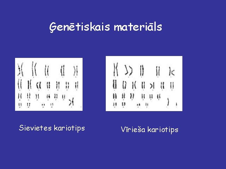 Ģenētiskais materiāls Sievietes kariotips Vīrieša kariotips 