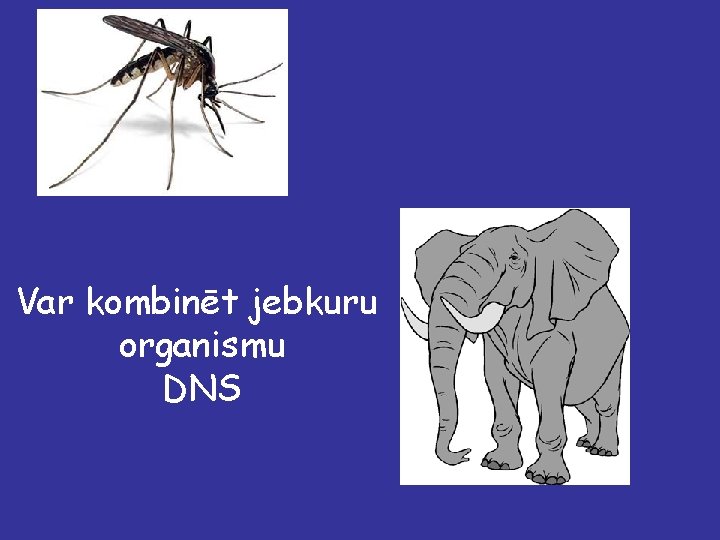 Var kombinēt jebkuru organismu DNS 