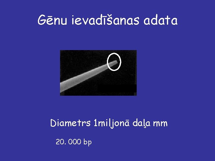 Gēnu ievadīšanas adata Diametrs 1 miljonā daļa mm 20. 000 bp 
