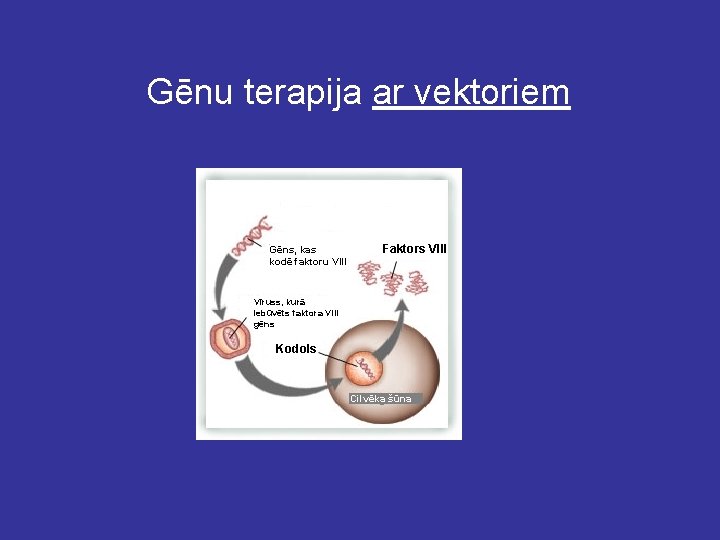 Gēnu terapija ar vektoriem Gēns, kas kodē faktoru VIII Faktors VIII Vīruss, kurā iebūvēts