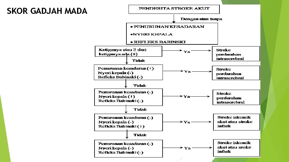 SKOR GADJAH MADA 