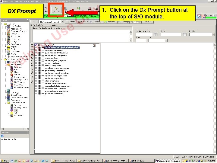 DX Prompt 1. Click on the Dx Prompt button at the top of S/O