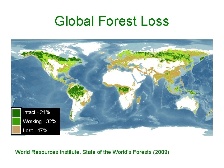Global Forest Loss World Resources Institute, State of the World’s Forests (2009) 