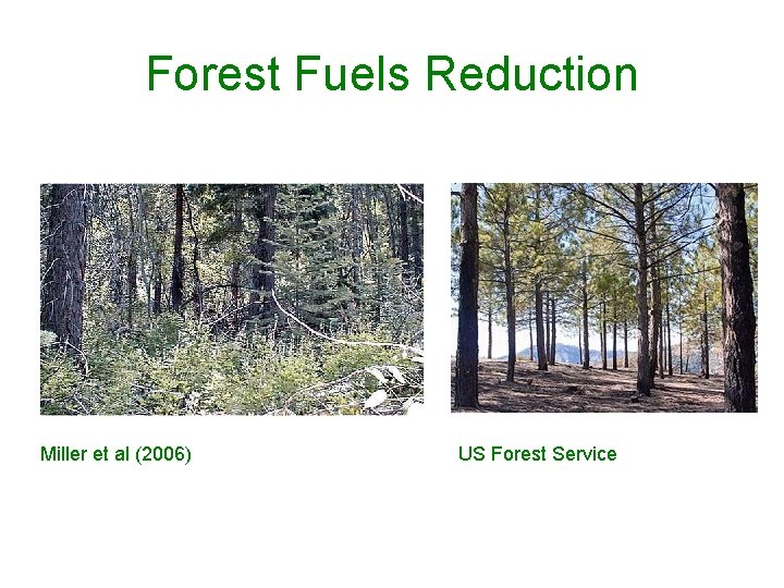 Forest Fuels Reduction Miller et al (2006) US Forest Service 