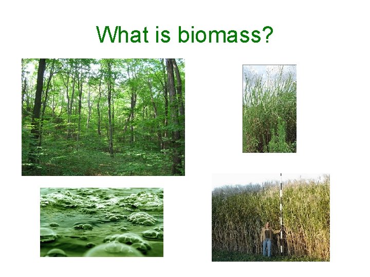 What is biomass? 