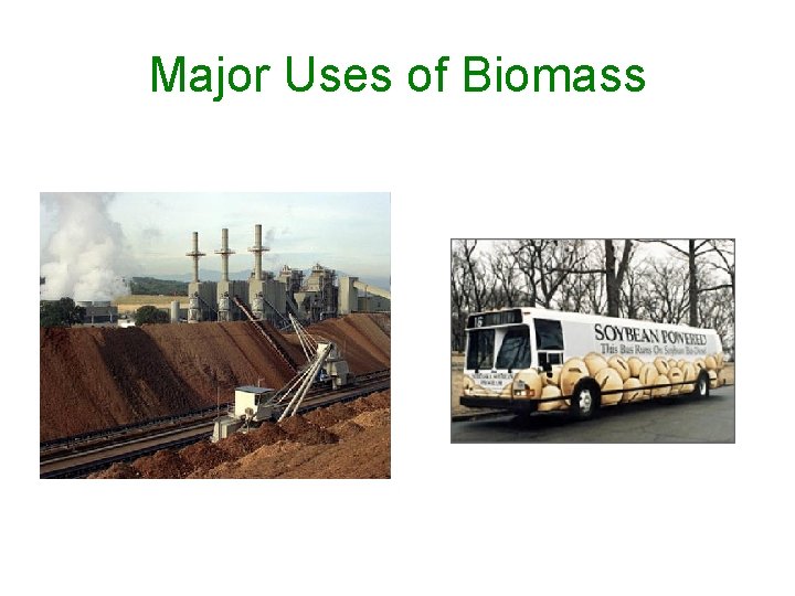 Major Uses of Biomass 