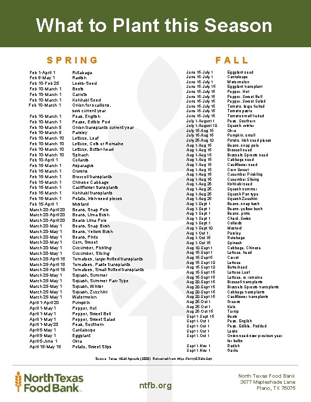 What to Plant this Season SPRING Feb 1 -April 1 Feb 5 -May 1