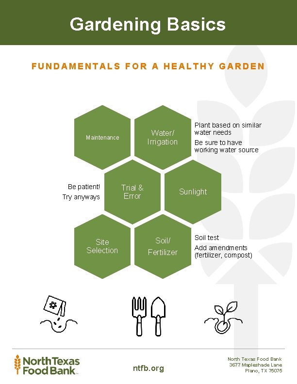 Gardening Basics FUNDAMENTALS FOR A HEALTHY GARDEN Water/ Irrigation Maintenance Be patient! Try anyways