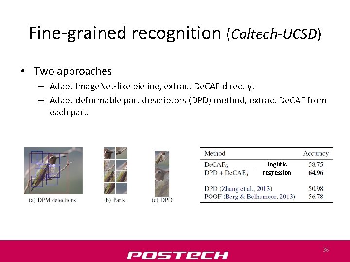 Fine-grained recognition (Caltech-UCSD) • Two approaches – Adapt Image. Net-like pieline, extract De. CAF