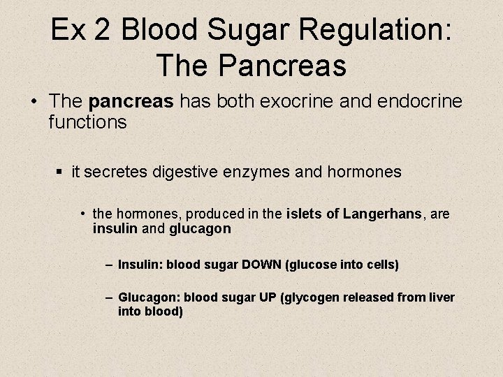 Ex 2 Blood Sugar Regulation: The Pancreas • The pancreas has both exocrine and