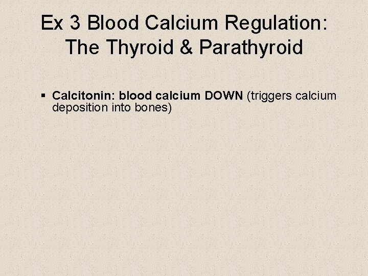 Ex 3 Blood Calcium Regulation: The Thyroid & Parathyroid § Calcitonin: blood calcium DOWN