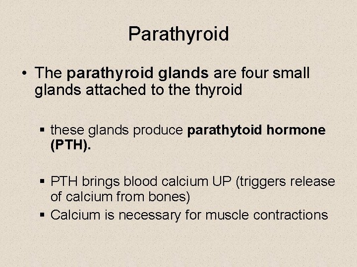 Parathyroid • The parathyroid glands are four small glands attached to the thyroid §