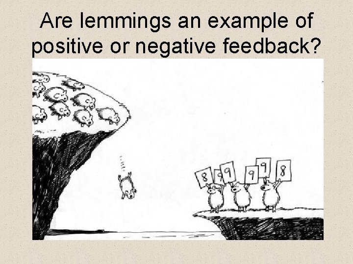 Are lemmings an example of positive or negative feedback? 