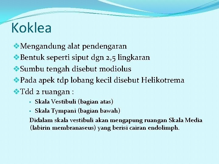 Koklea v. Mengandung alat pendengaran v. Bentuk seperti siput dgn 2, 5 lingkaran v.