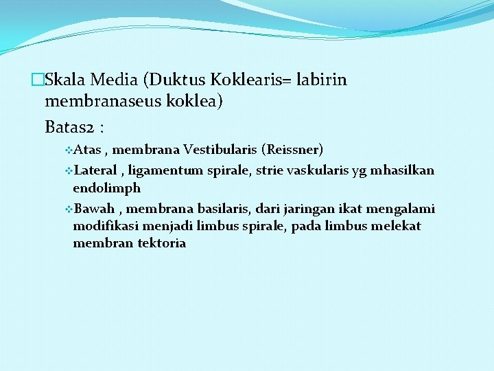 �Skala Media (Duktus Koklearis= labirin membranaseus koklea) Batas 2 : v. Atas , membrana