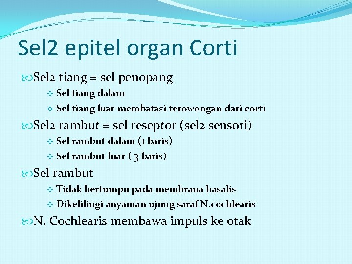 Sel 2 epitel organ Corti Sel 2 tiang = sel penopang Sel tiang dalam