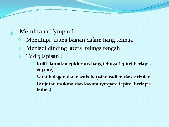 3. Membrana Tympani v Menutupi ujung bagian dalam liang telinga v Menjadi dinding lateral