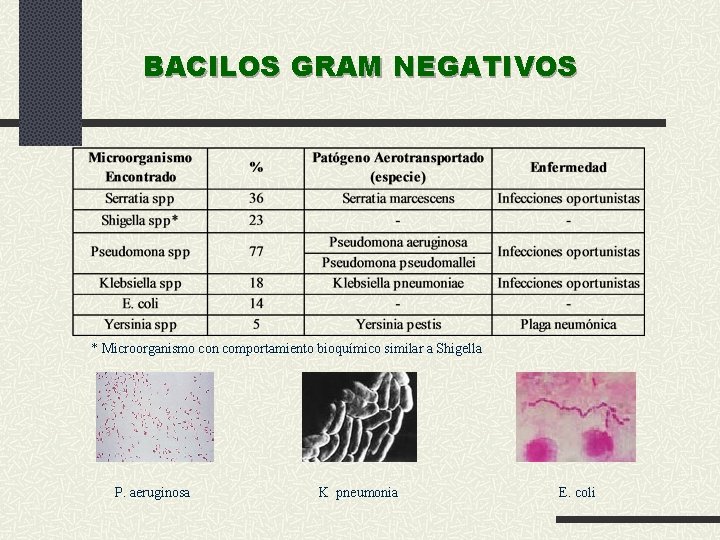 BACILOS GRAM NEGATIVOS * Microorganismo con comportamiento bioquímico similar a Shigella P. aeruginosa K