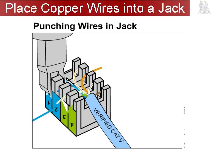 Place Copper Wires into a Jack 