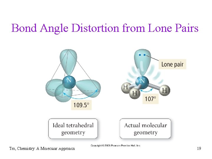 Bond Angle Distortion from Lone Pairs Tro, Chemistry: A Molecular Approach 19 