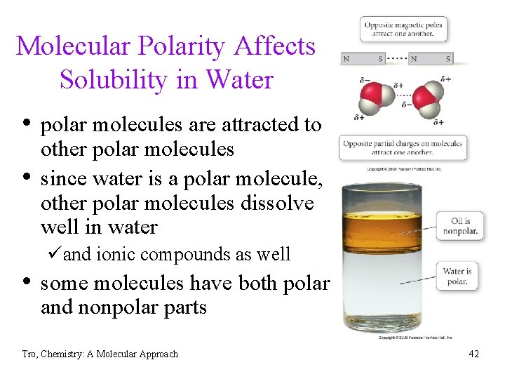 Molecular Polarity Affects Solubility in Water • polar molecules are attracted to • other