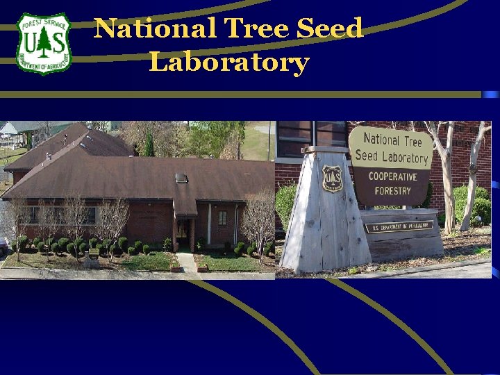 National Tree Seed Laboratory 