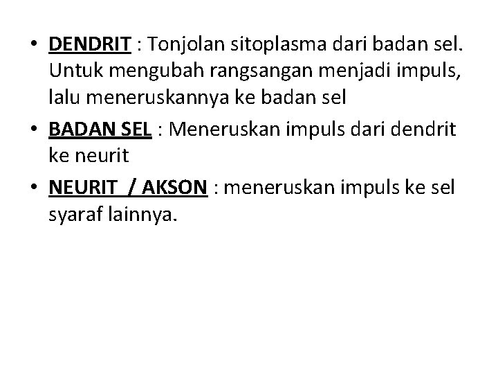  • DENDRIT : Tonjolan sitoplasma dari badan sel. Untuk mengubah rangsangan menjadi impuls,