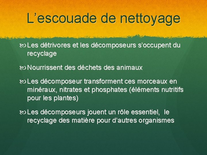 L’escouade de nettoyage Les détrivores et les décomposeurs s’occupent du recyclage Nourrissent des déchets