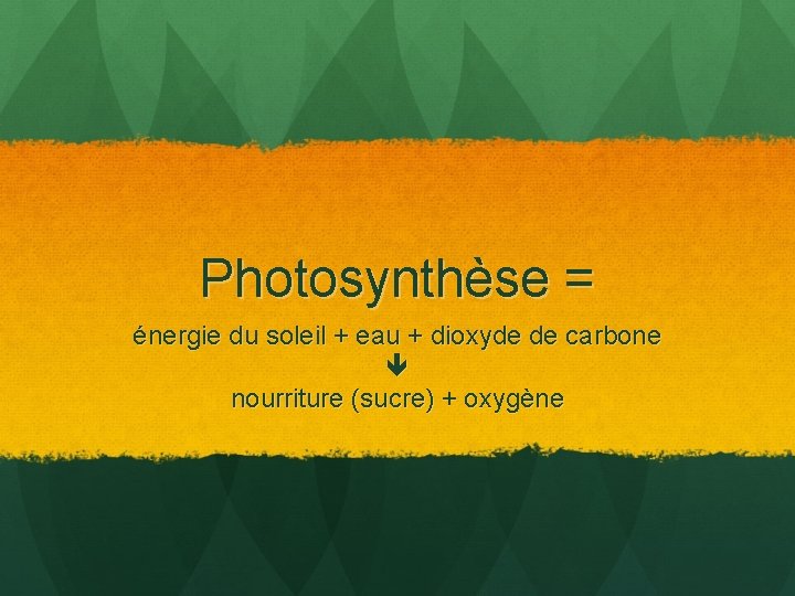 Photosynthèse = énergie du soleil + eau + dioxyde de carbone nourriture (sucre) +