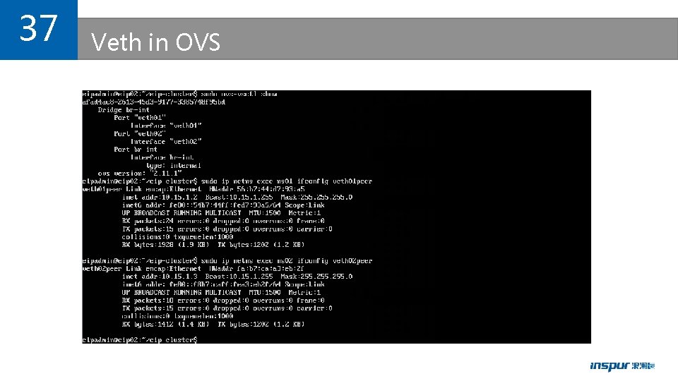 37 Veth in OVS 