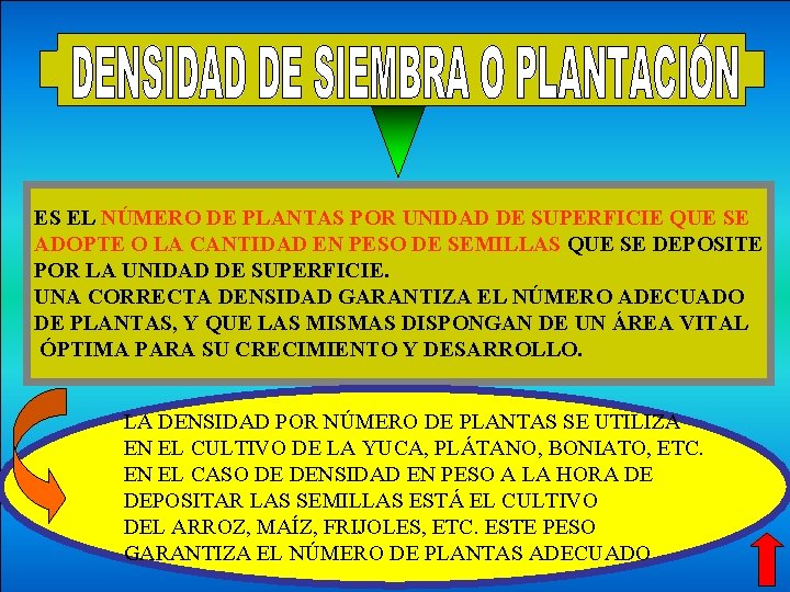 ES EL NÚMERO DE PLANTAS POR UNIDAD DE SUPERFICIE QUE SE ADOPTE O LA