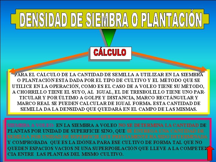 PARA EL CÁLCULO DE LA CANTIDAD DE SEMILLA A UTILIZAR EN LA SIEMBRA O