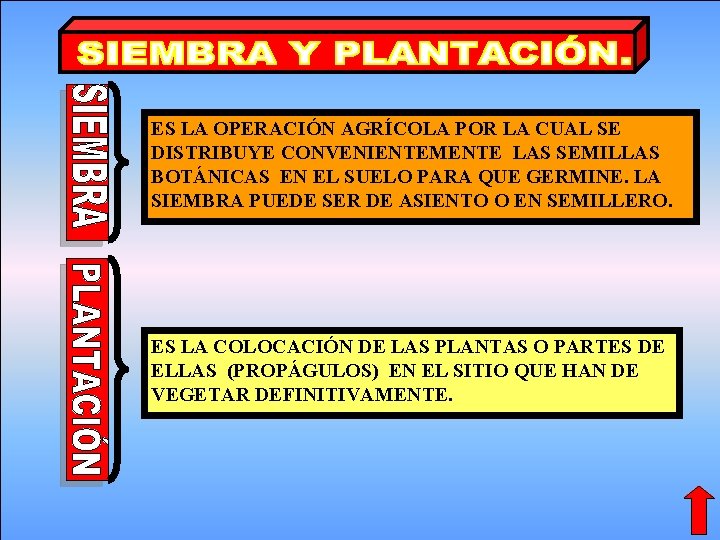 ES LA OPERACIÓN AGRÍCOLA POR LA CUAL SE DISTRIBUYE CONVENIENTEMENTE LAS SEMILLAS BOTÁNICAS EN