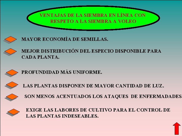 VENTAJAS DE LA SIEMBRA EN LÍNEA CON RESPETO A LA SIEMBRA A VOLEO MAYOR