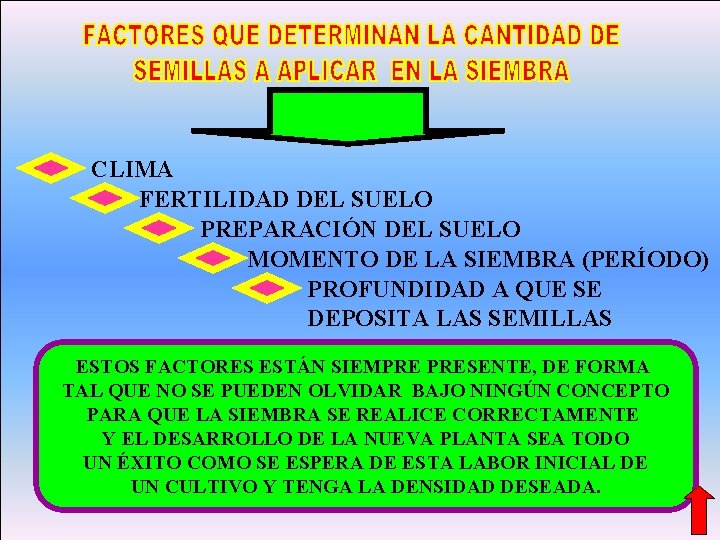 CLIMA FERTILIDAD DEL SUELO PREPARACIÓN DEL SUELO MOMENTO DE LA SIEMBRA (PERÍODO) PROFUNDIDAD A