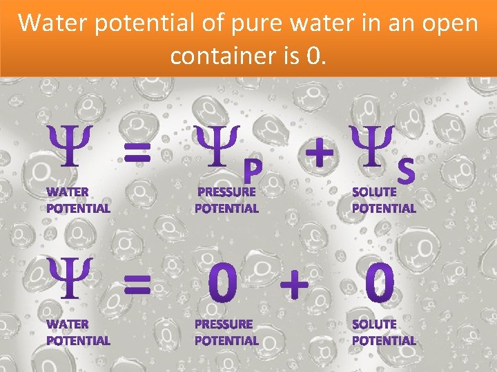 Water potential of pure water in an open container is 0. 