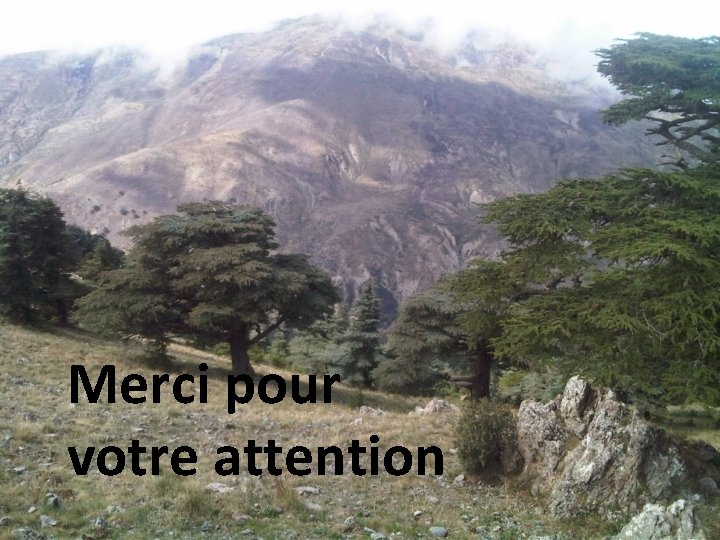 Merci pour votre attention 
