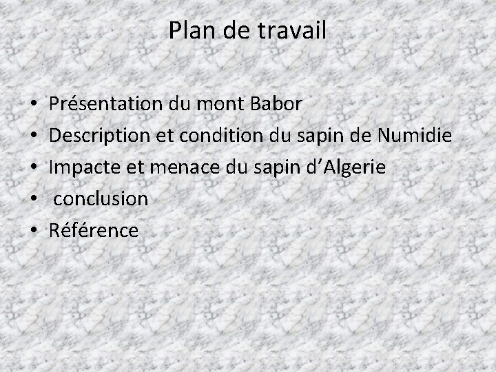Plan de travail • • • Présentation du mont Babor Description et condition du