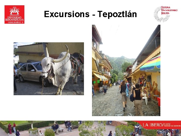 Excursions - Tepoztlán 