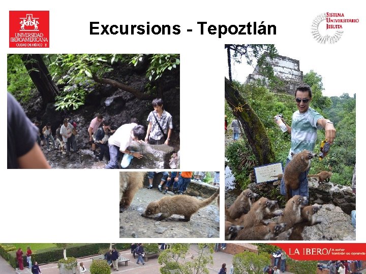 Excursions - Tepoztlán 