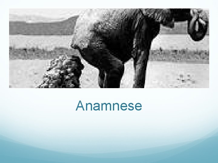 Anamnese 