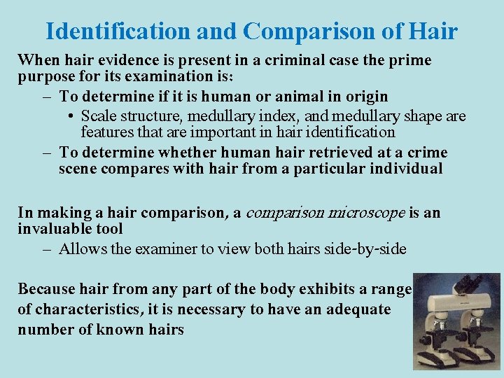 Identification and Comparison of Hair When hair evidence is present in a criminal case