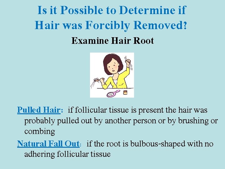 Is it Possible to Determine if Hair was Forcibly Removed? Examine Hair Root Pulled