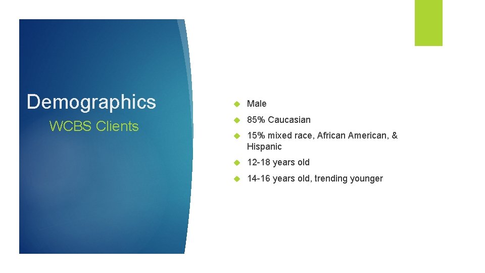 Demographics WCBS Clients Male 85% Caucasian 15% mixed race, African American, & Hispanic 12