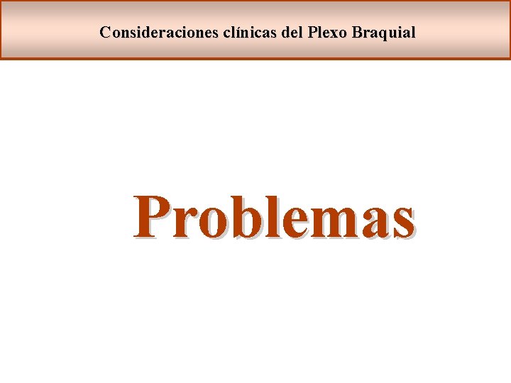 Consideraciones clínicas del Plexo Braquial Problemas 