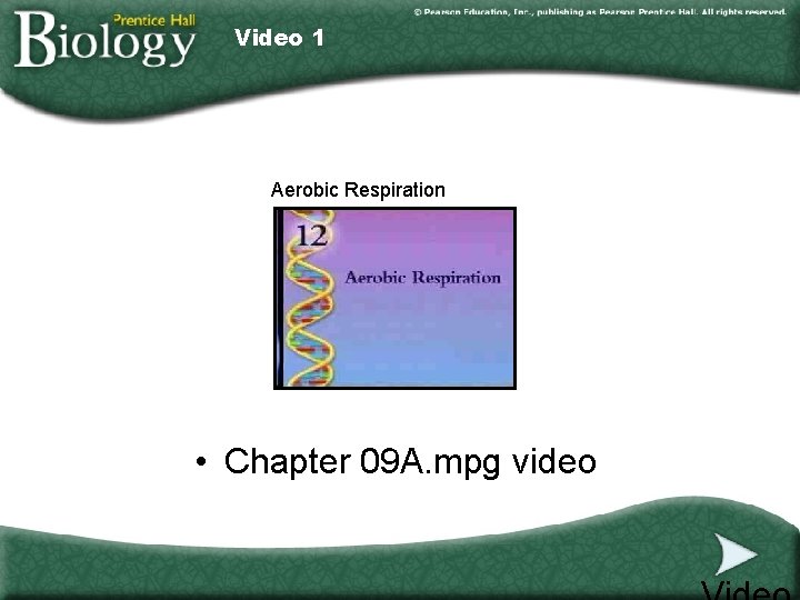 Video 1 Aerobic Respiration • Chapter 09 A. mpg video 