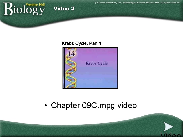 Video 3 Krebs Cycle, Part 1 • Chapter 09 C. mpg video 