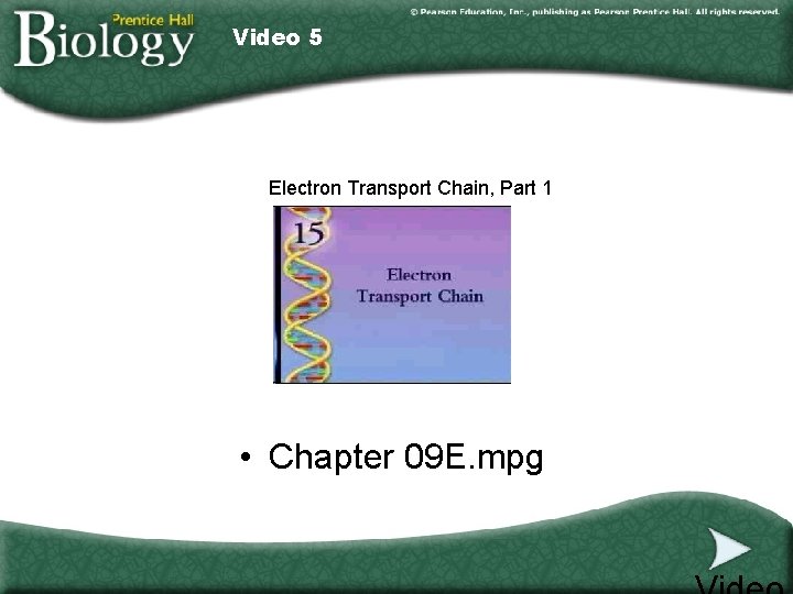 Video 5 Electron Transport Chain, Part 1 • Chapter 09 E. mpg 