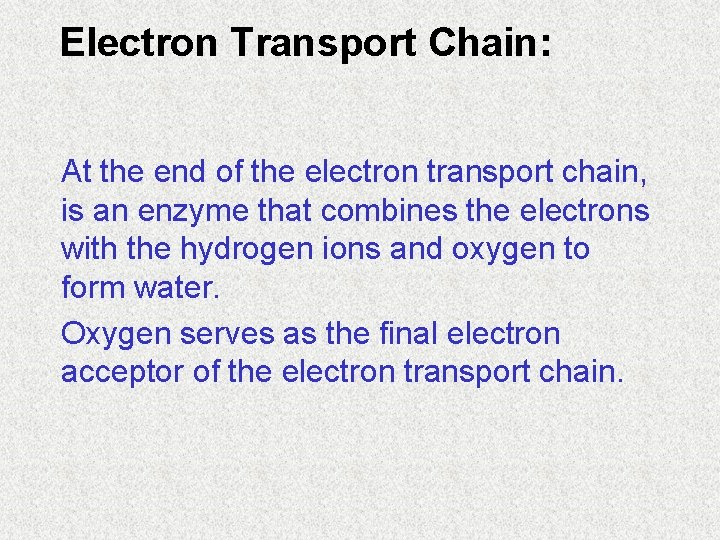 Electron Transport Chain: At the end of the electron transport chain, is an enzyme